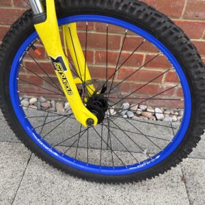 Carrera Blast Kids Bike