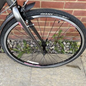 Giant Liv Alight Step Through Bike